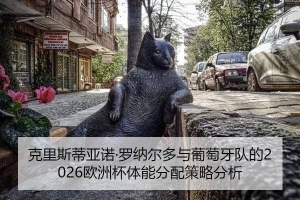 克里斯蒂亚诺·罗纳尔多与葡萄牙队的2026欧洲杯体能分配策略分析